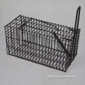 China Single Door Trapping Wild Life Wire Animal Trap Supplier